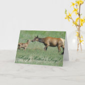 E3a Koe Elk en Calf Nose t/m Nose Kaart (Gele Bloem)