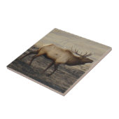 E40 Bull Elk Bugling Tegeltje (Zijkant)