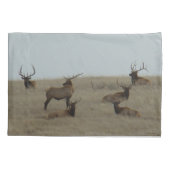 E41 Grote stier eland stieren liggen Kussensloop (Achterkant)