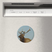 E42 Bull Elk Magneet (Insitu (Vaatwasser))