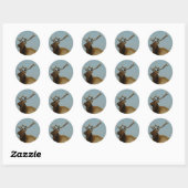 E42 Jonge Stiereland Ronde Sticker (Vel)