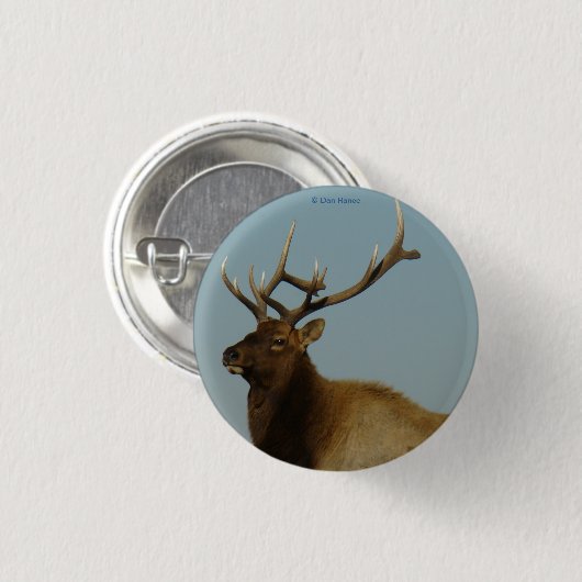 E42 Young Bull Elk Ronde Button 3,2 Cm (Voorkant /achterkant)