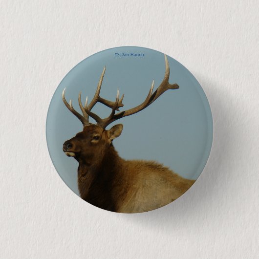 E42 Young Bull Elk Ronde Button 3,2 Cm (Voorkant)