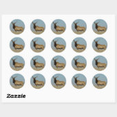E43 Jonge Stiereland-Eland Ronde Sticker (Vel)