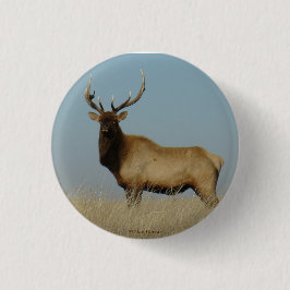 E43 Young Bull Elk Ronde Button 3,2 Cm