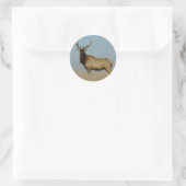 E43 Young Bull Elk Ronde Sticker (Tas)