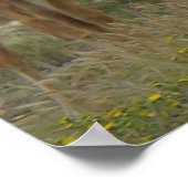 E44 Eland en Kalf Poster (Hoek)