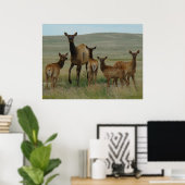 E44 Eland en Kalf Poster (Thuiskantoor)