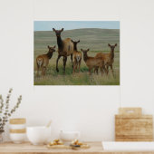 E44 Eland en Kalf Poster (Keuken)