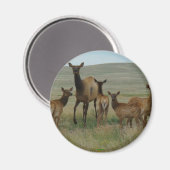 E44 Elandmoeder en Kalveren Magneet (Voorkant / Achterkant)