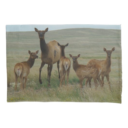 E44 Koe-eland en kalveren Kussensloop (Voorkant)