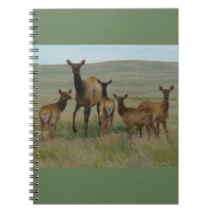 E44 Koe-eland en kalveren Notitieboek