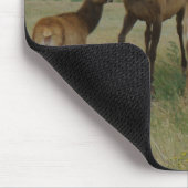 E44 Kow Elk en Calves Muismat (Hoek)