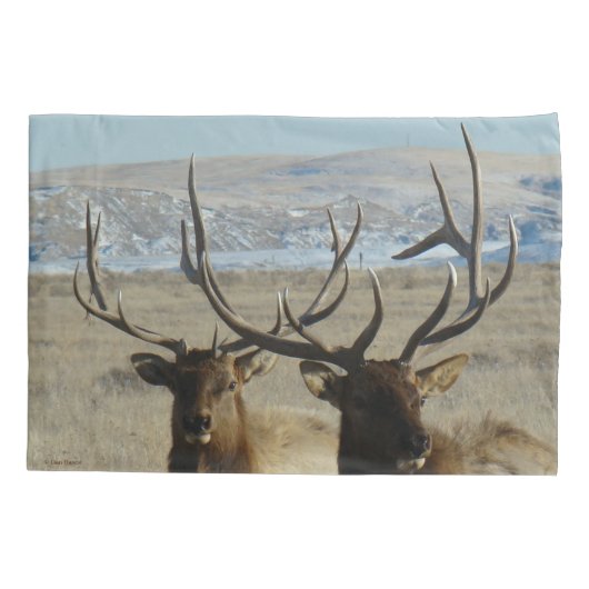 E45 Bull Elk dubbel schot Kussensloop (Achterkant)