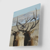 E45 Bull Elk Sluiten Vierkante Klok (Hoek)