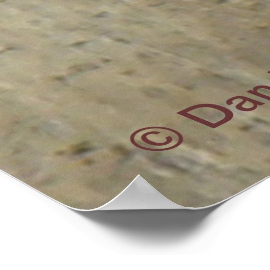 E45 elk Elk schotel Poster (Hoek)