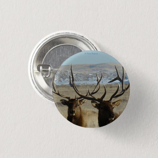 E45 elk Elk schotel Ronde Button 3,2 Cm (Voorkant /achterkant)