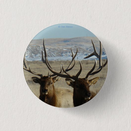 E45 Koppen van Bull Elk Ronde Button 3,2 Cm (Voorkant)