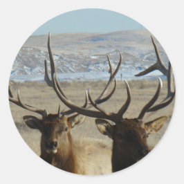 E45 Koppen van Bull Elk Ronde Sticker
