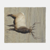 E46 Bull Elk Big Bull Fleece Deken (Voorkant (Horizontaal))