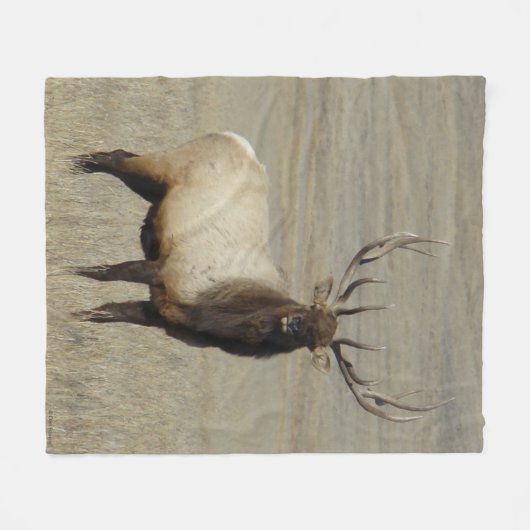 E46 Bull Elk Big Bull Fleece Deken (Voorkant (Horizontaal))