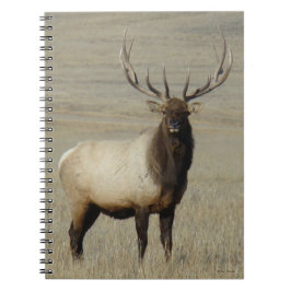 E46 Bull Elk Big Bull Notitieboek