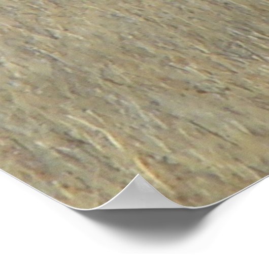 E46 Bull Elk Big Bull Poster (Hoek)