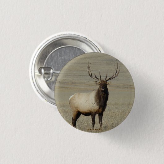 E46 Bull Elk Big Bull Ronde Button 3,2 Cm (Voorkant /achterkant)