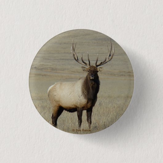 E46 Bull Elk Big Bull Ronde Button 3,2 Cm (Voorkant)