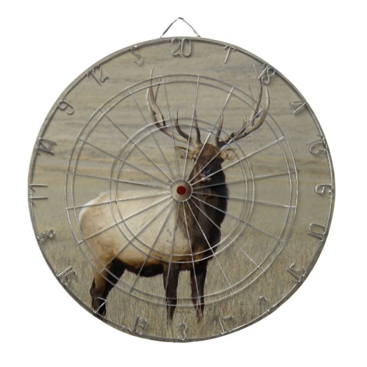 E46 Grote Bull Elk Stier Dartbord (Voorkant)