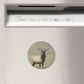 E46 Grote Bull Elk Stier Magneet (Insitu (Vaatwasser))