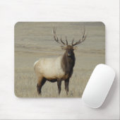 E46 Grote Bull Elk Stier Muismat (Met muis)