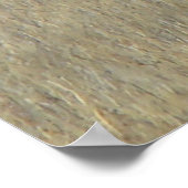 E46 Grote Bull Elk Stier Poster (Hoek)