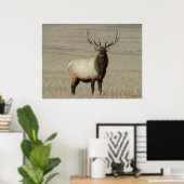 E46 Grote Bull Elk Stier Poster (Thuiskantoor)