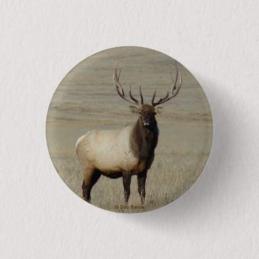 E46 Grote Bull Elk Stier Ronde Button 3,2 Cm (Voorkant)