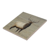 E46 Grote Bull Elk Stier Tegeltje (Zijkant)