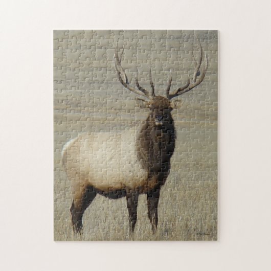 E46 Grote Stiereland Grote Stier Legpuzzel (Verticaal)