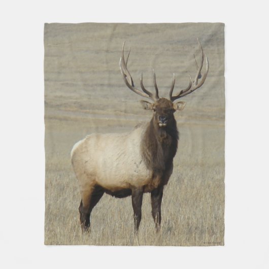 E46 Grote Stiereland Wapitihert Fleece Deken (Voorkant)