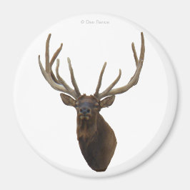 E48 Bull Elk hoofd in Velvet Magneet