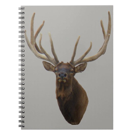 E48 Bull Elk hoofd in Velvet Notitieboek (Voorkant)