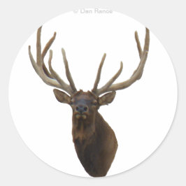 E48 Bull Elk hoofd in Velvet Ronde Sticker