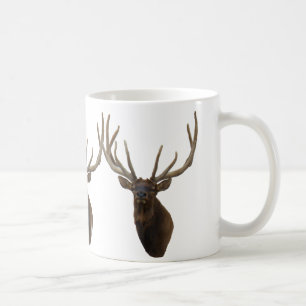 E48 Bull Elk Kop in Fluwelen