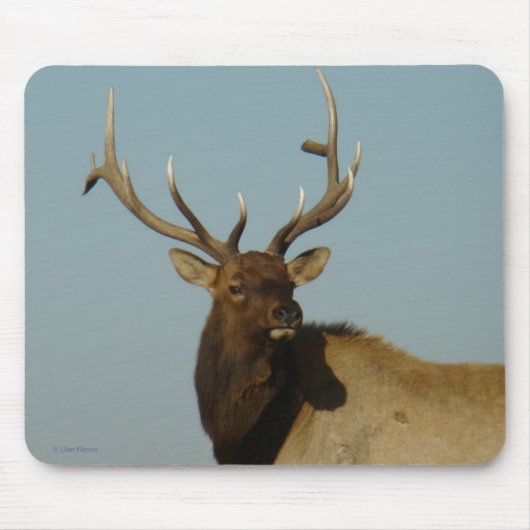 E49 Bull Elk hoofd en schouders Muismat (Voorkant)