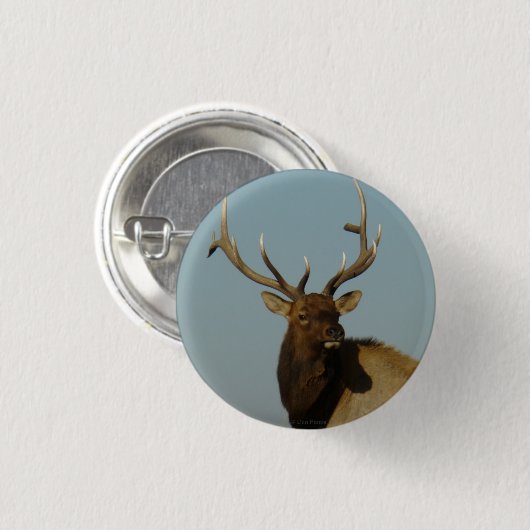 E49 Bull Elk Ronde Button 3,2 Cm (Voorkant /achterkant)