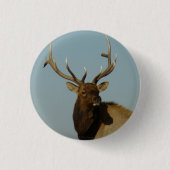 E49 Bull Elk Ronde Button 3,2 Cm (Voorkant)