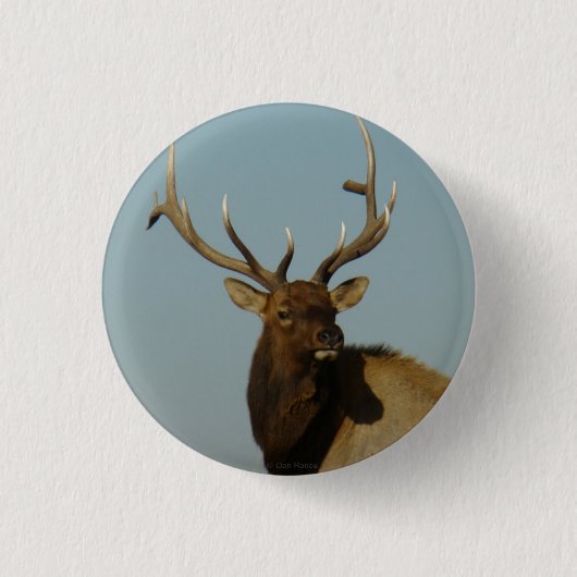 E49 Bull Elk Ronde Button 3,2 Cm (Voorkant)