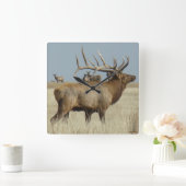 E4 Big Bull Elk Vierkante Klok (Huis)