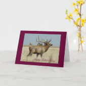 E4 Bull Elk Enorme Stier Kaart (Gele Bloem)