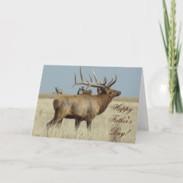 E4 Bull Elk Herd Boss Kaart