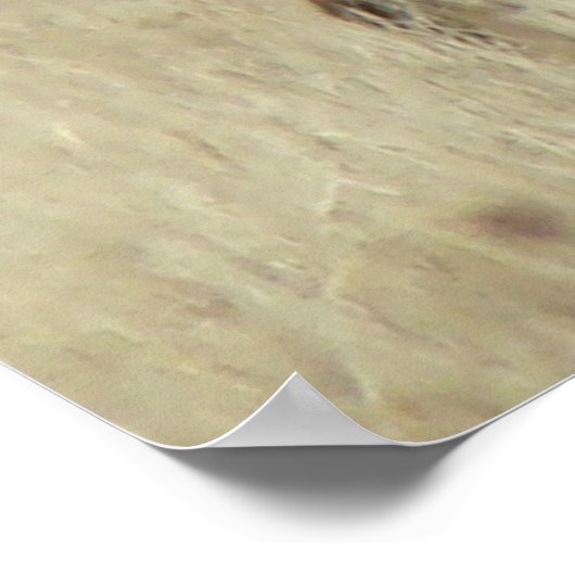 E4 Bull Elk Herd Boss Poster (Hoek)